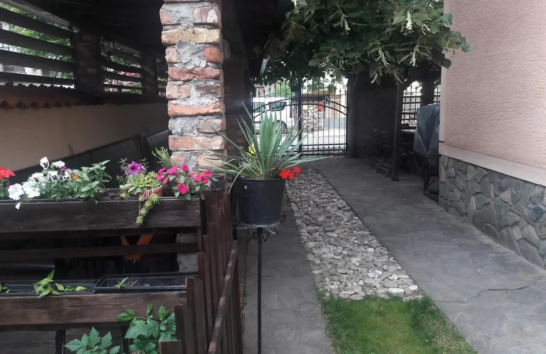 Villa Iva-1